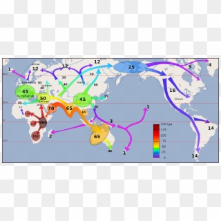 Map Showing The Movement Of Early Humans Clipart
