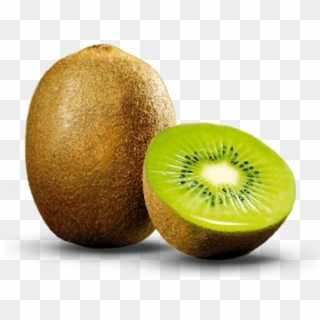 Free Png Kiwi Fruit Png Png - Kiwi Png Clipart