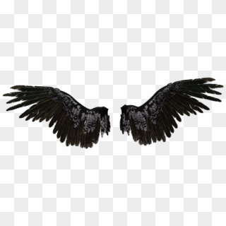 Black Angel Wings Transparent Clipart