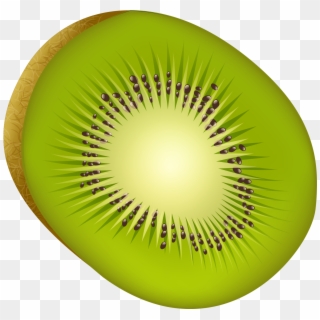 Download - Kiwifruit Clipart