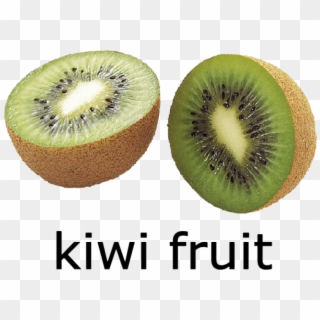 Free Png Kiwi Fruit Png - Kiwi Fruit Picture With Name Clipart