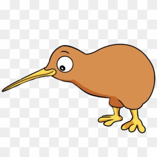 Kiwi Bird Png - Kiwi Bird Clipart Transparent Png