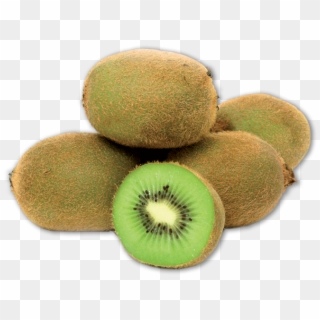 Kiwi - Kiwifruit Clipart