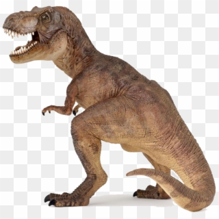 Download Dinosaur Png Images Transparent Gallery - Colour Is At Rex Clipart