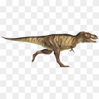 T-rex Running - Tyrannosaurus Rex Clipart
