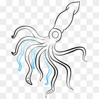 How To Draw A Really Easy Tutorial - Draw A Squid Clipart