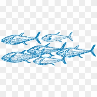 Increasing Barriers To Entry For Unsustainable Fish Clipart