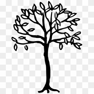 Png Black And White Stock Line Tree At Getdrawings - Big Tree Drawing Simple Clipart