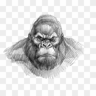 King Kong Drawing Easy , Png Download - King Kong Face Drawing Clipart