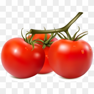 Fresh Organic Vegetable Tomato Vector - Fruits Used As Vegetable Clipart