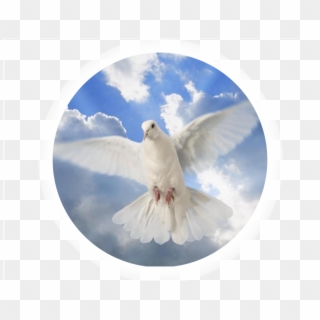 Holy Spirit Dove , Png Download Clipart