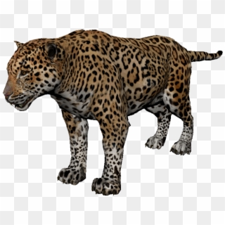 African Leopard Clipart