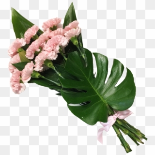 Carnation , Png Download - Bouquet Clipart