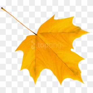 Free Png Download Yellow Autumn Leaf Clipart Png Photo - Autumn Leaves Clipart Png Transparent Png