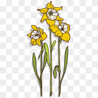 Wales Clipart Daffodil - Iris - Png Download
