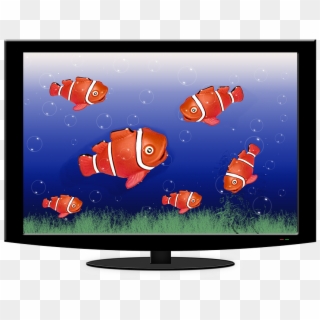 Aquarium, Tv, Fish, Water, Fish Swarm, Underwater World - Tv Fish Clipart