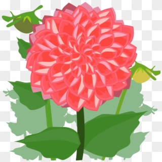 Dahlia Cut Flowers Drawing Daisy Family - Dahlia Clipart - Png Download