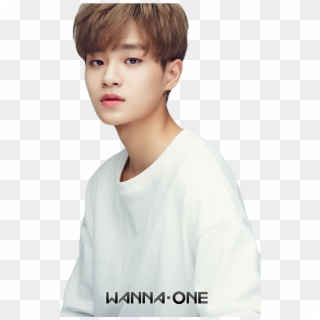 Wanna One Profile - Wanna One Members Daehwi Clipart
