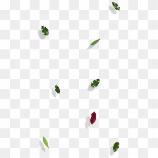 Transparent Clipart - Png Download