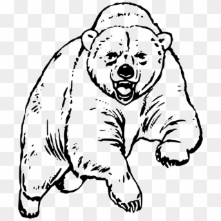 This Free Icons Png Design Of Big Bear - Scary Bear Coloring Page Clipart