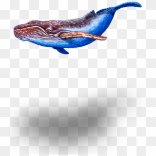 Transparent Clipart - Png Download