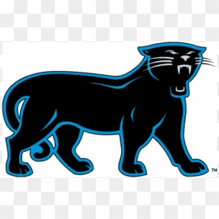 Carolina Panthers Iron On Stickers And Peel-off Decals - Carolina Panthers Clipart
