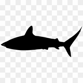 File - Shark Silhouette - Svg - Wikimedia Commons - Shark Silhouette Svg Clipart