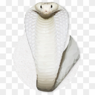 Emmasimoncic - Tumblr - Com - Low Poly White Cobra - Serpent Clipart