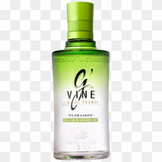Bottle-floraison - Gvine Gin De France Clipart