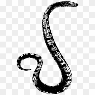 Rattlesnake Clipart Simple Snake - Serpiente En Blanco Y Negro - Png Download