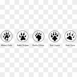 Paws Of Wolverine, Fox, Bear, Wolf And Lynx - Circle Clipart