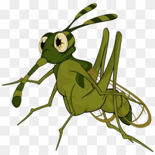 Terrible Mosquito - Illustration Clipart