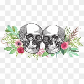 Transparent Clipart - Png Download