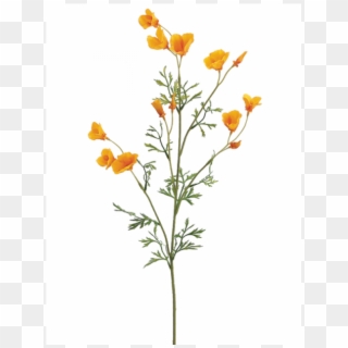 26" Mini California Poppy Spray Yellow - Wildflower Stem Clipart
