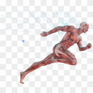 Slider-body - Human Athlete Clipart