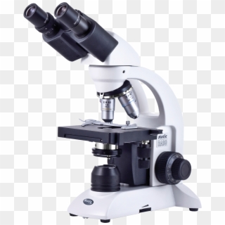 Microscopio En La Biologia Clipart