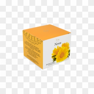 Marigold Cream - Sunflower Clipart