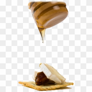 Chocolate Clipart