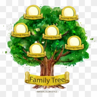 Family Tree Genealogy Illustration - Family Tree With No Names Clipart