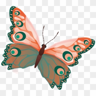 Butterfly Png Image Free Picture Download Pngimgcom - Butterfly Clipart