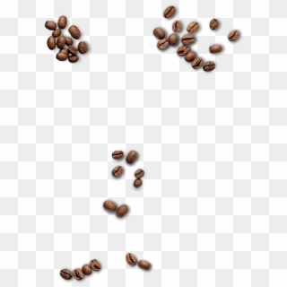 Coffee-beans Clipart