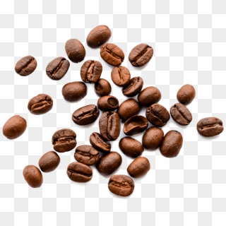 Beans - Lista Alimentos Amargos Clipart