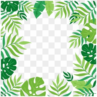 Exotic Border Frame Transparent Image Clipart