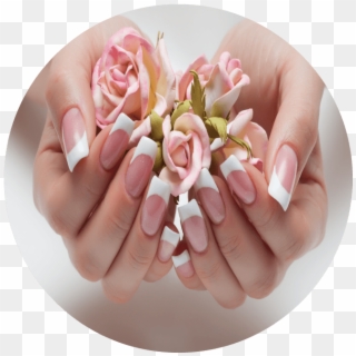 Acrylic Nails , Png Download - Garden Roses Clipart
