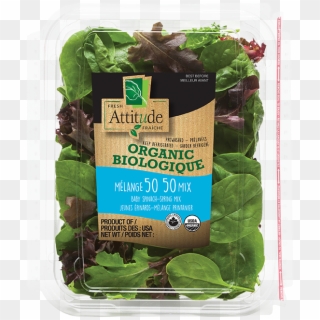 Organic Fresh Attitude Salad Clipart