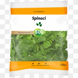 Spinach Clipart
