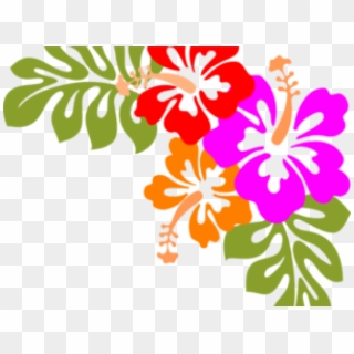 Hawaii Border Cliparts - Hawaiian Flowers Transparent Background - Png Download