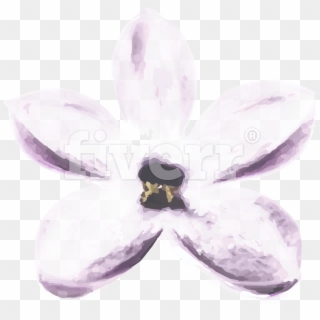Moth Orchid , Png Download - Artificial Flower Clipart