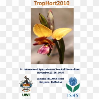 Orchid - International Society For Horticultural Science Clipart