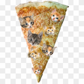 Pizza Png - Kittens Clipart